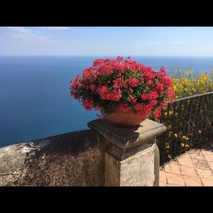 Meet your Posher, Elena